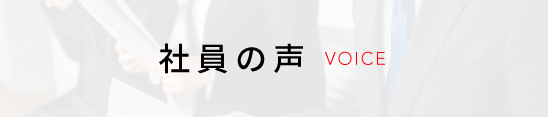 社員の声